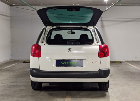 Peugeot 207 (8)