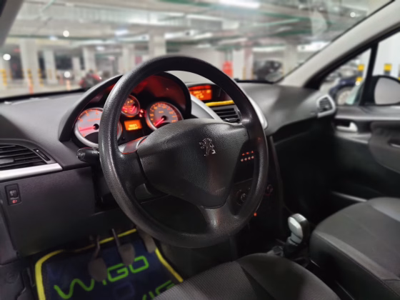 Peugeot 207 (9)
