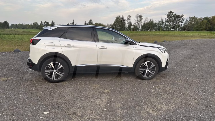 Peugeot 3008 (4)