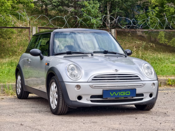 MINI ONE (1)