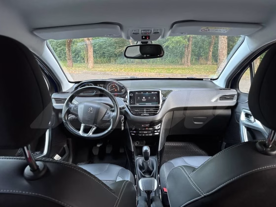Peugeot 2008 (8)