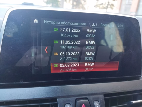 BMW 220 (7)