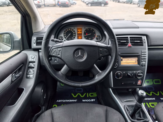 Mercedes-Benz B 250 (13)