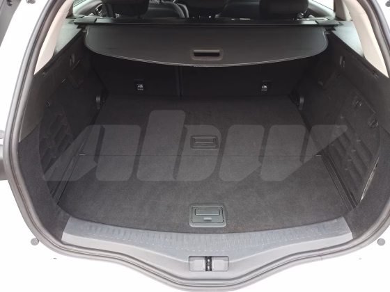 Renault Megane (24)