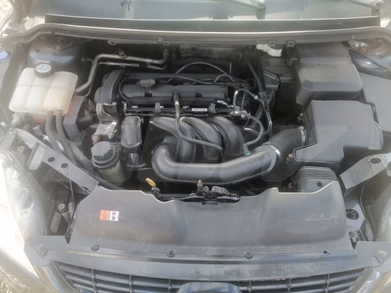 Ford Focus (3)