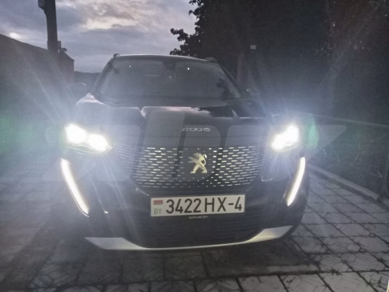 Peugeot 2008 (1)