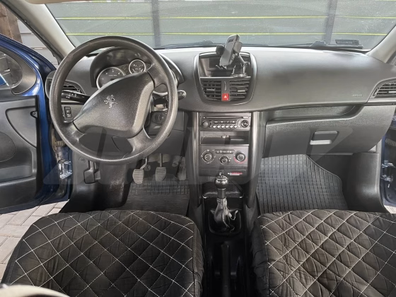 Peugeot 207 (6)