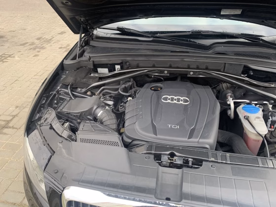 Audi Q5 (4)