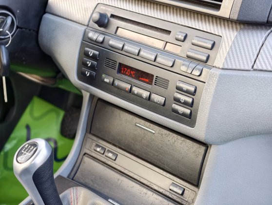 BMW 318 (16)