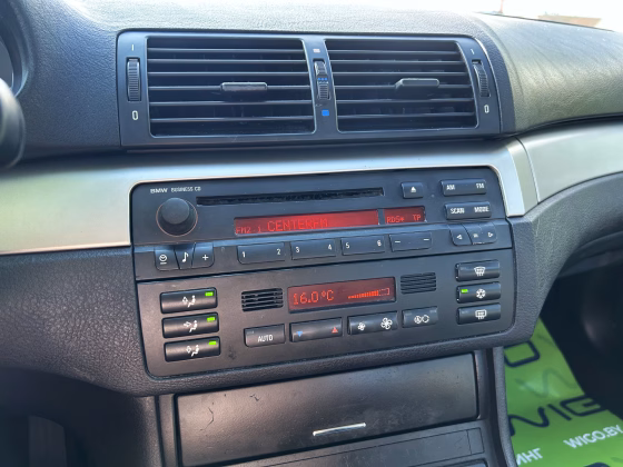 BMW 318 (15)