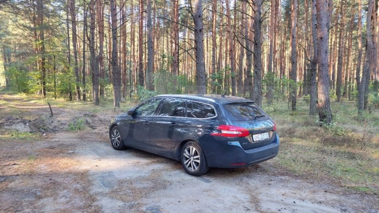 Peugeot 308 (2)