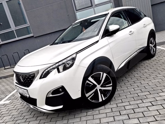 Peugeot 3008 (3)