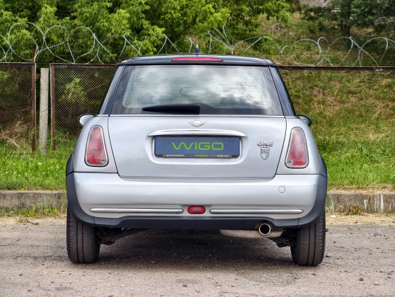 MINI ONE (5)