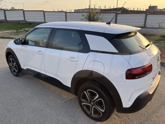 Citroën C4 Cactus (4)