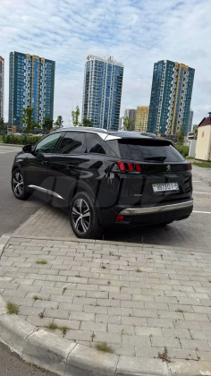 Peugeot 3008 (9)