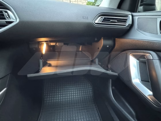 Peugeot 308 (18)