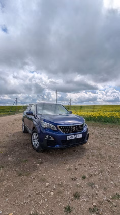 Peugeot 3008 (1)