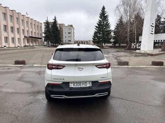 Opel Grandland X (11)