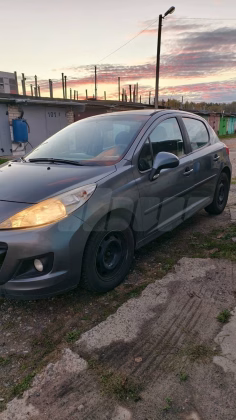 Peugeot 207 (8)