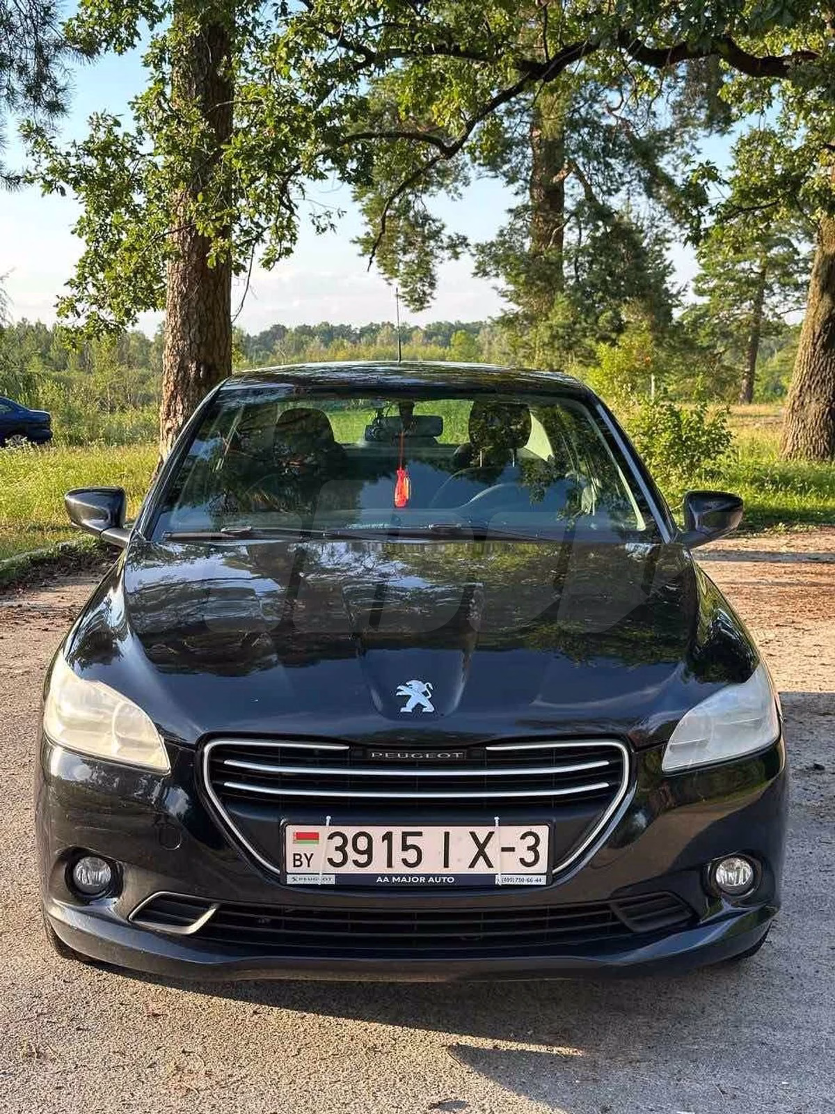 Peugeot 301