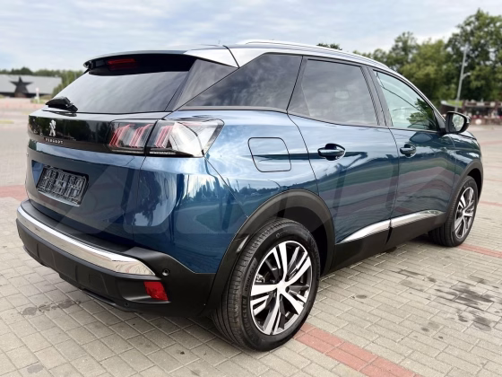 Peugeot 3008 (4)