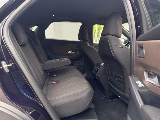 DS Automobiles DS7 Crossback (8)