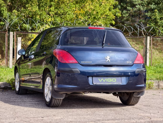 Peugeot 308 (4)
