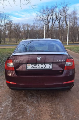 Skoda Octavia (3)