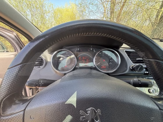 Peugeot 3008 (8)