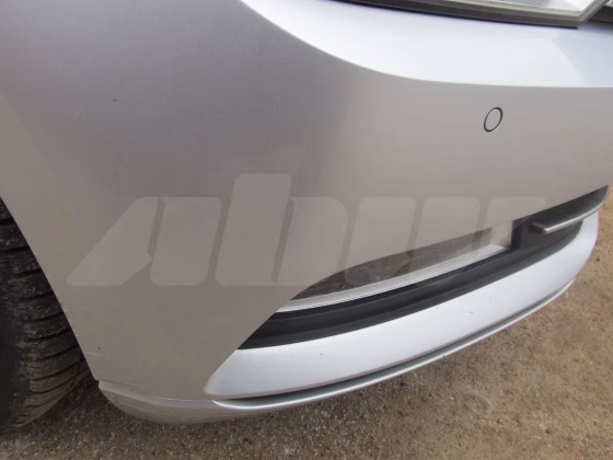 Volkswagen Passat (6)