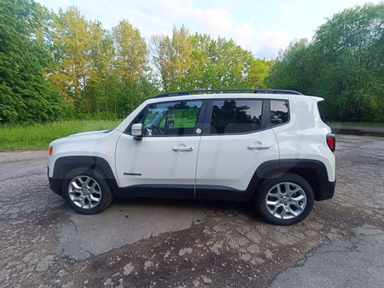 Jeep Renegade (15)