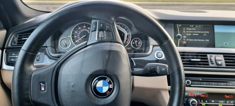 BMW 530 (7)