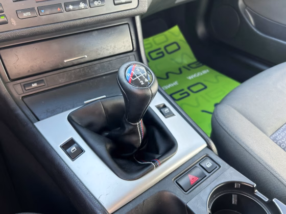 BMW 318 (16)