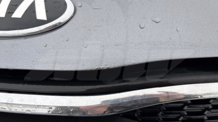 Kia Rio (11)