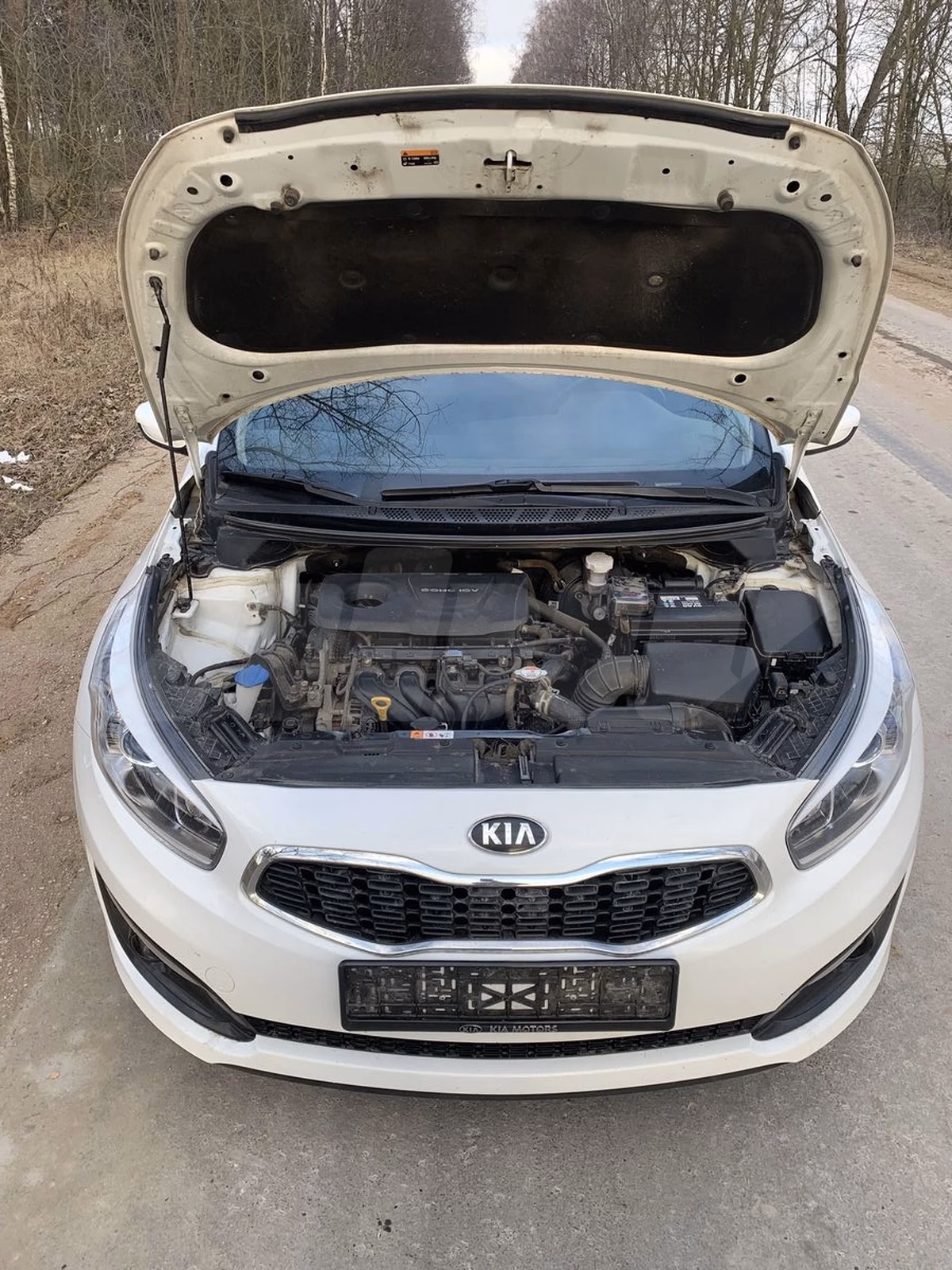 Kia Ceed