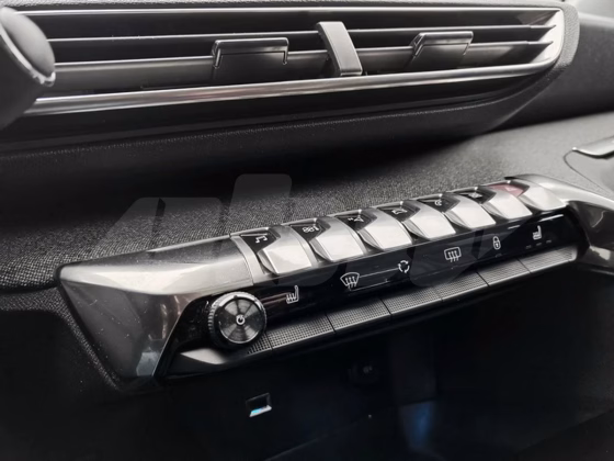 Peugeot 3008 (13)
