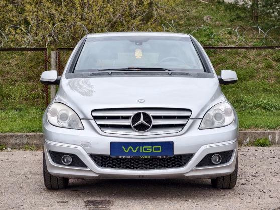 Mercedes-Benz B 250 (2)