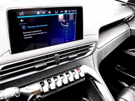Peugeot 3008 (14)