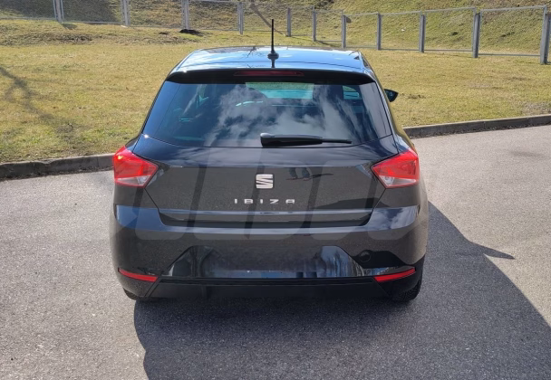 Seat Ibiza (7)
