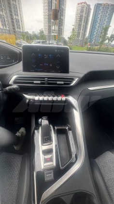 Peugeot 3008 (3)