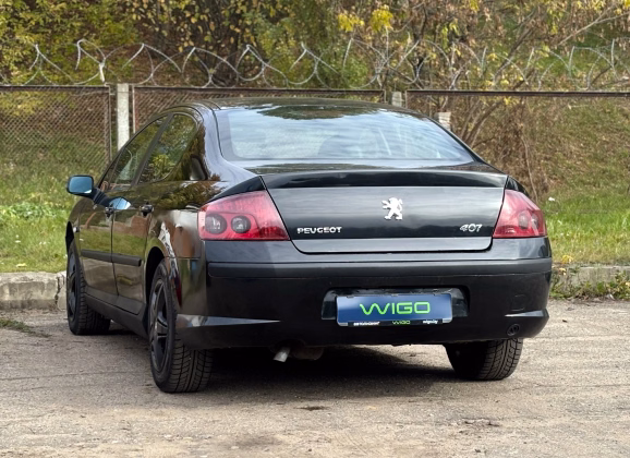 Peugeot 407 (4)