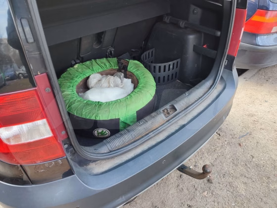 Skoda Yeti (23)