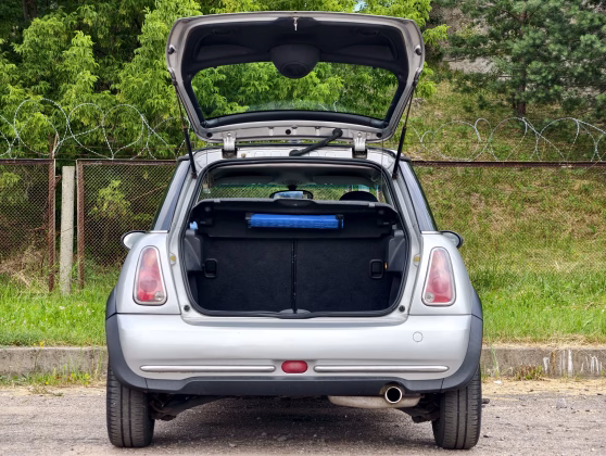 MINI ONE (7)