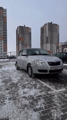 Skoda Fabia (1)
