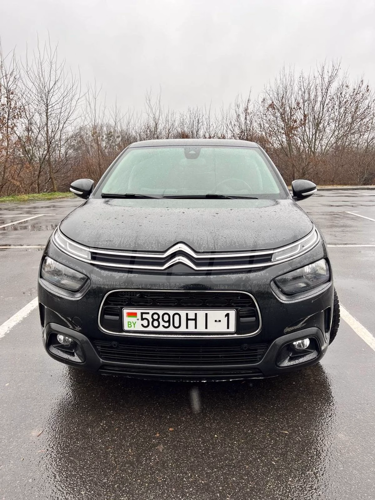 Citroën C4 Cactus