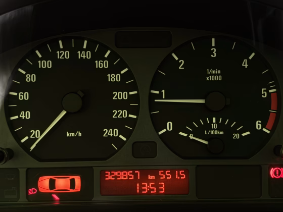 BMW 318 (14)