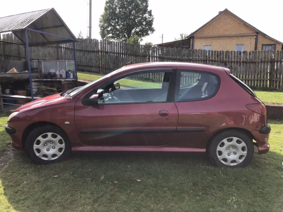 Peugeot 206 (1)