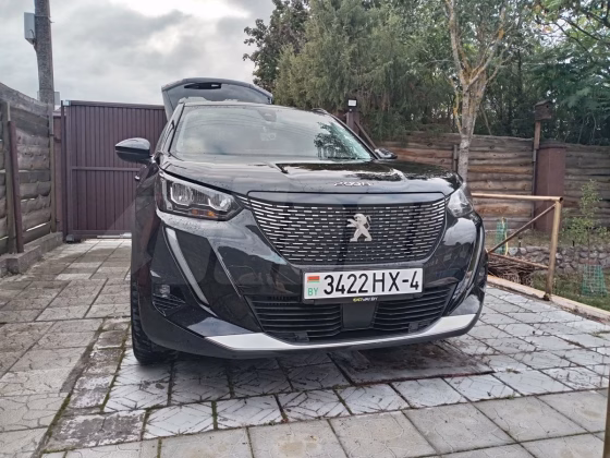 Peugeot 2008 (6)