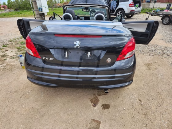 Peugeot 207 (1)