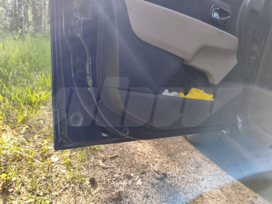 Dacia Lodgy (4)